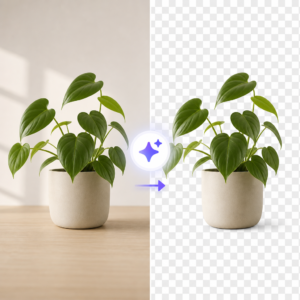 Removing backgrounds with AI